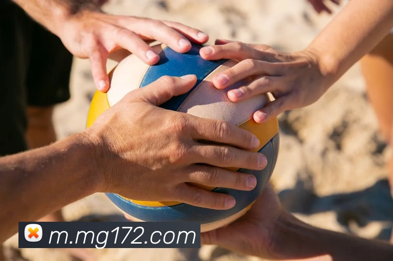 MG娱乐平台官网平台生态图