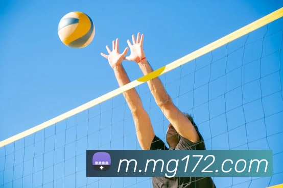MG娱乐平台官网APP 封面图